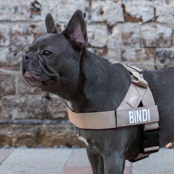 Dog Harness + FREE D-ring