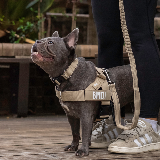 Walk Essentials - Brown