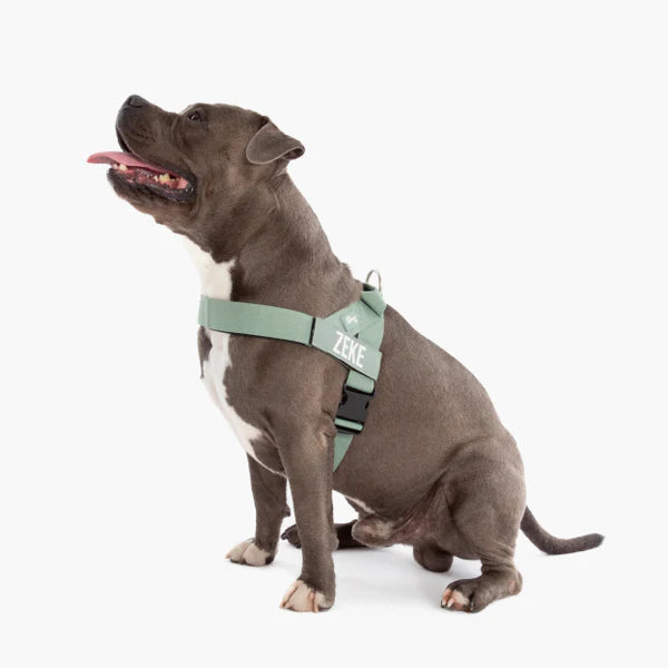 Dog Harness + FREE D-ring