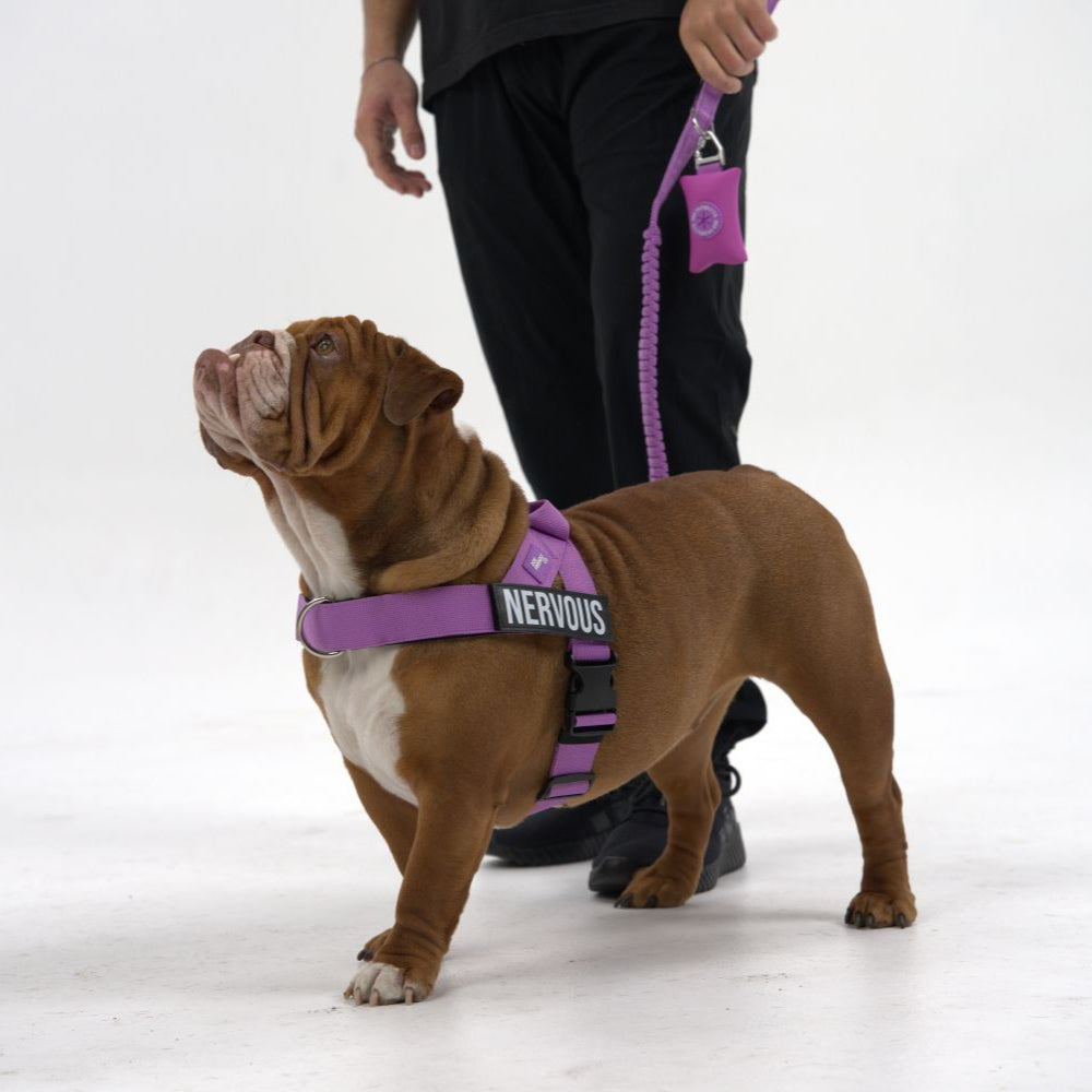 Signature Kit - Purple