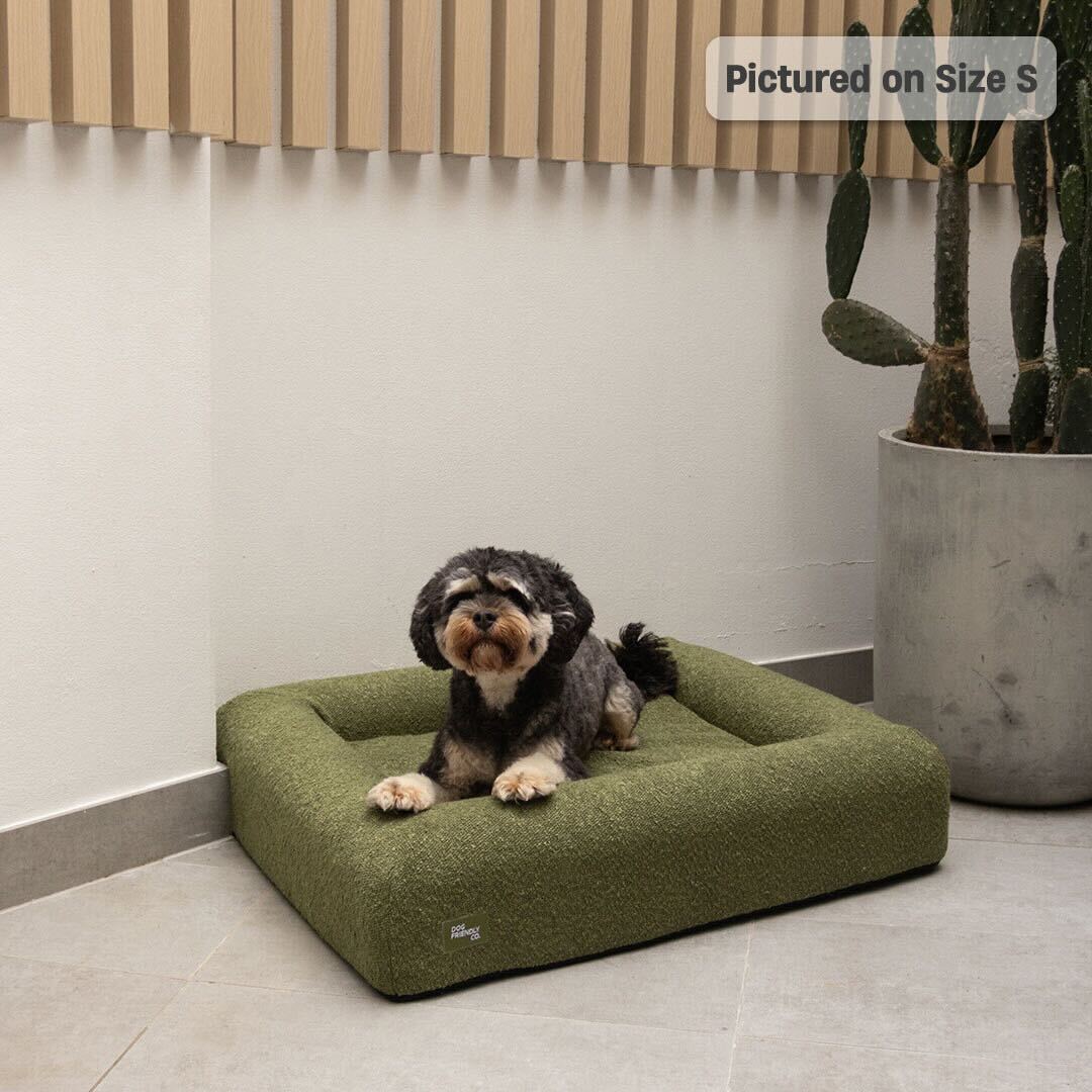 Premium Orthopedic Memory Foam Dog Bed - Green Bouclé (Small)