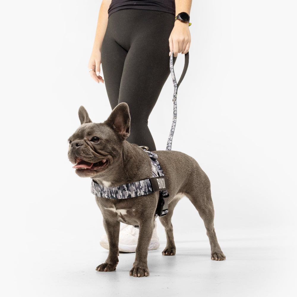 Signature Kit - Grey Camo