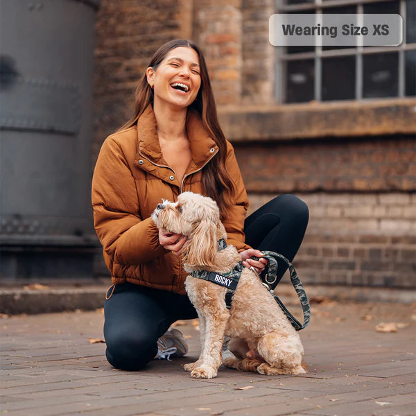 Dog Harness + FREE D-ring