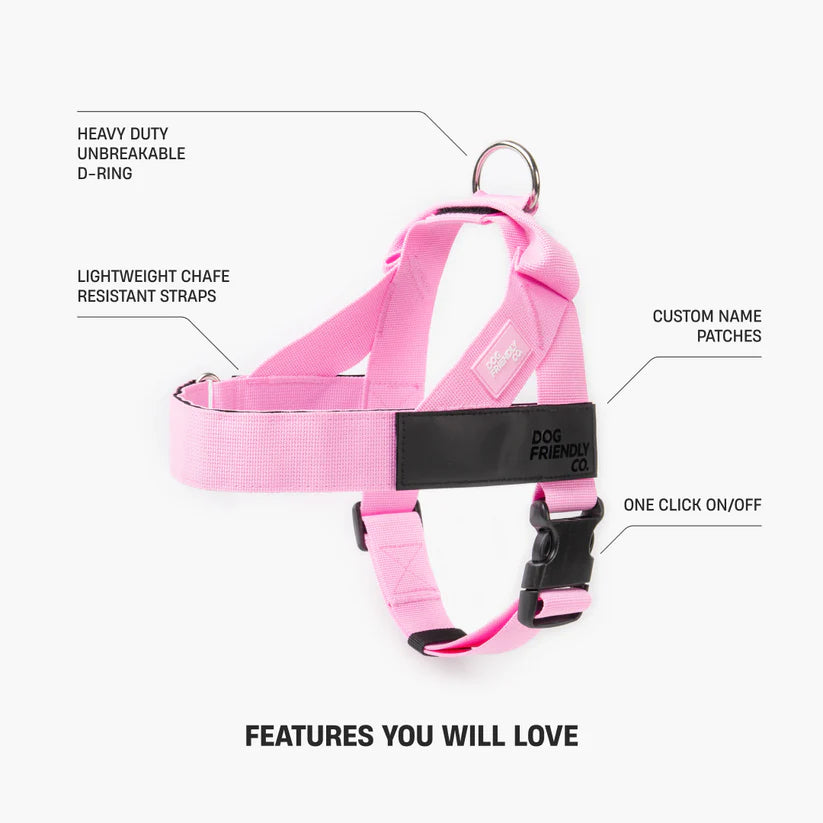 Dog Harness + FREE D-ring