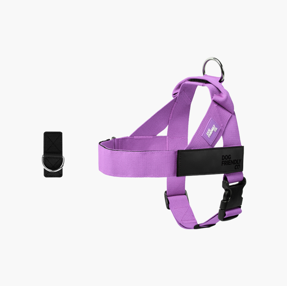 Dog Harness + FREE D-ring