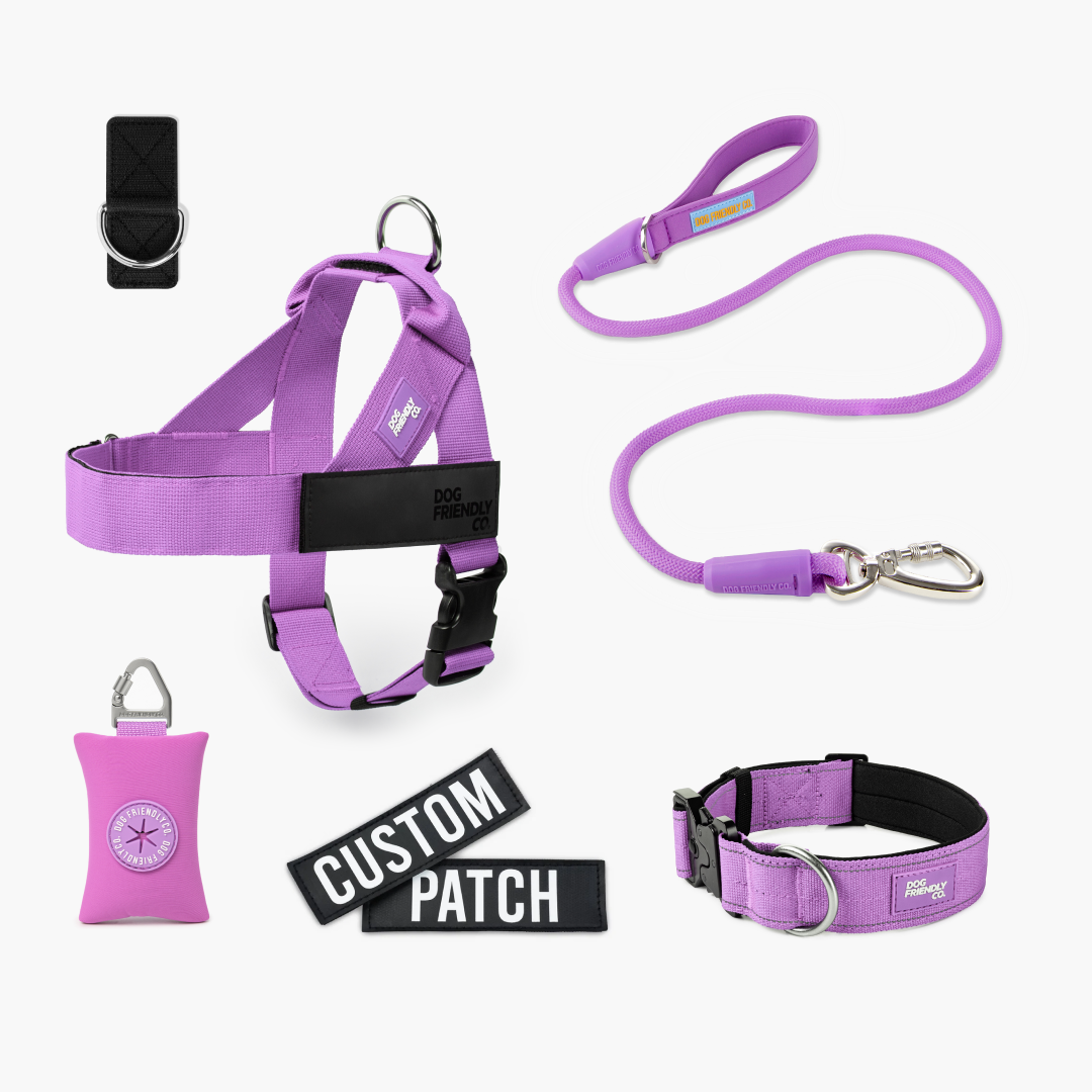 Walk Essentials - Purple