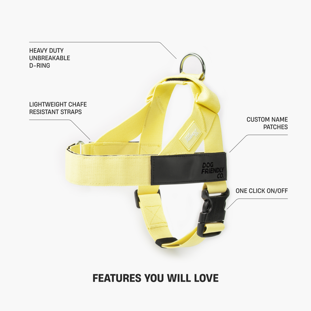 Dog Harness - Yellow