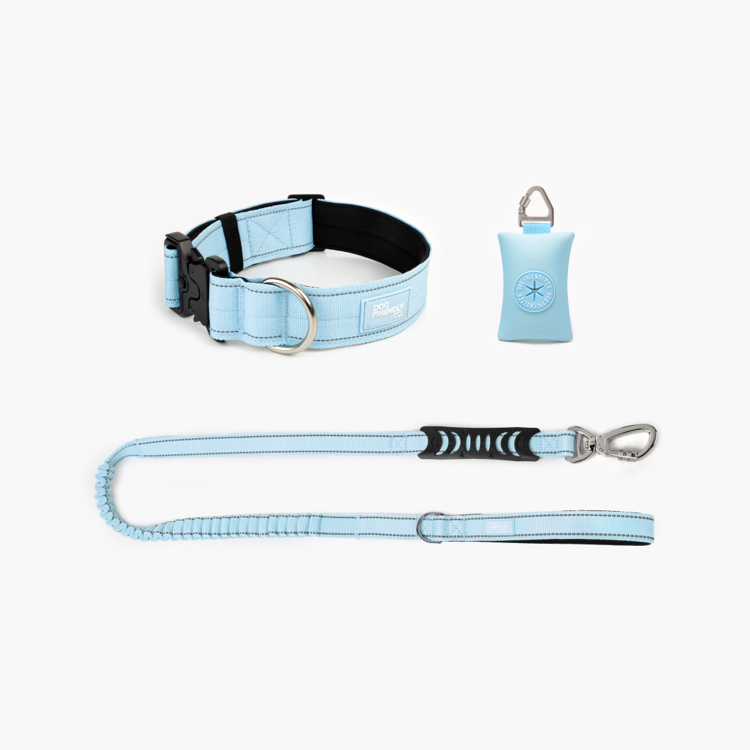 Collar Walk Set - Sky Blue