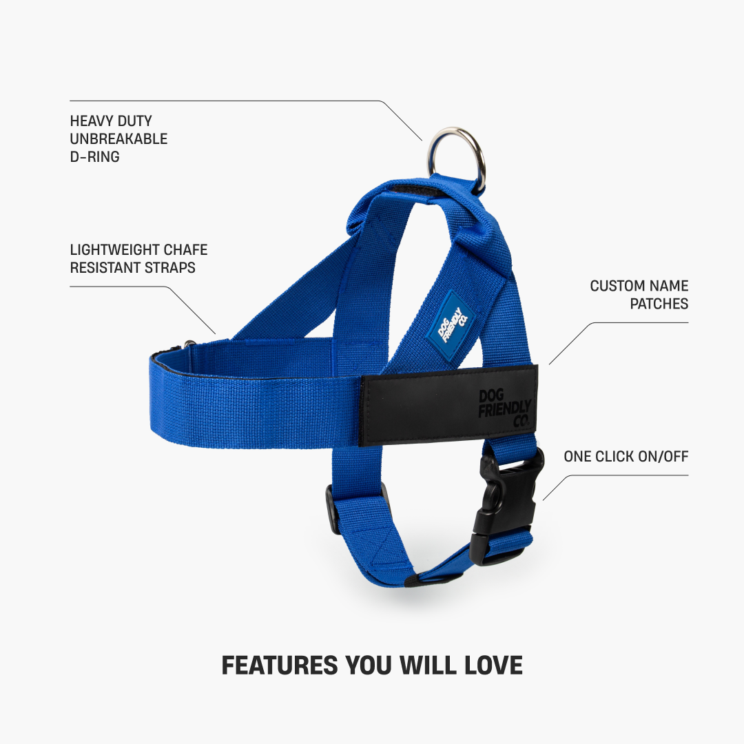 Dog Harness - Classic Blue