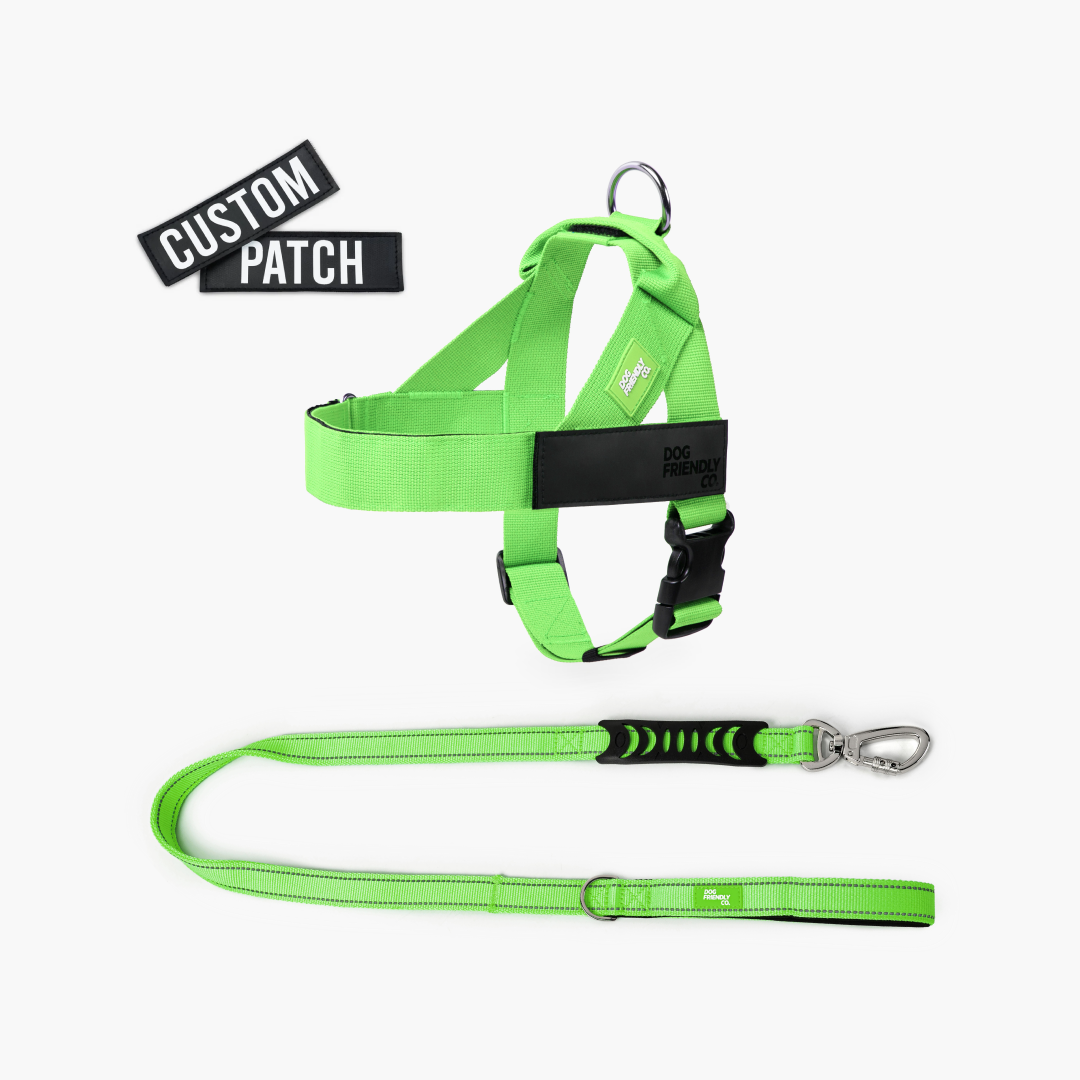 Signature Kit - Neon Green