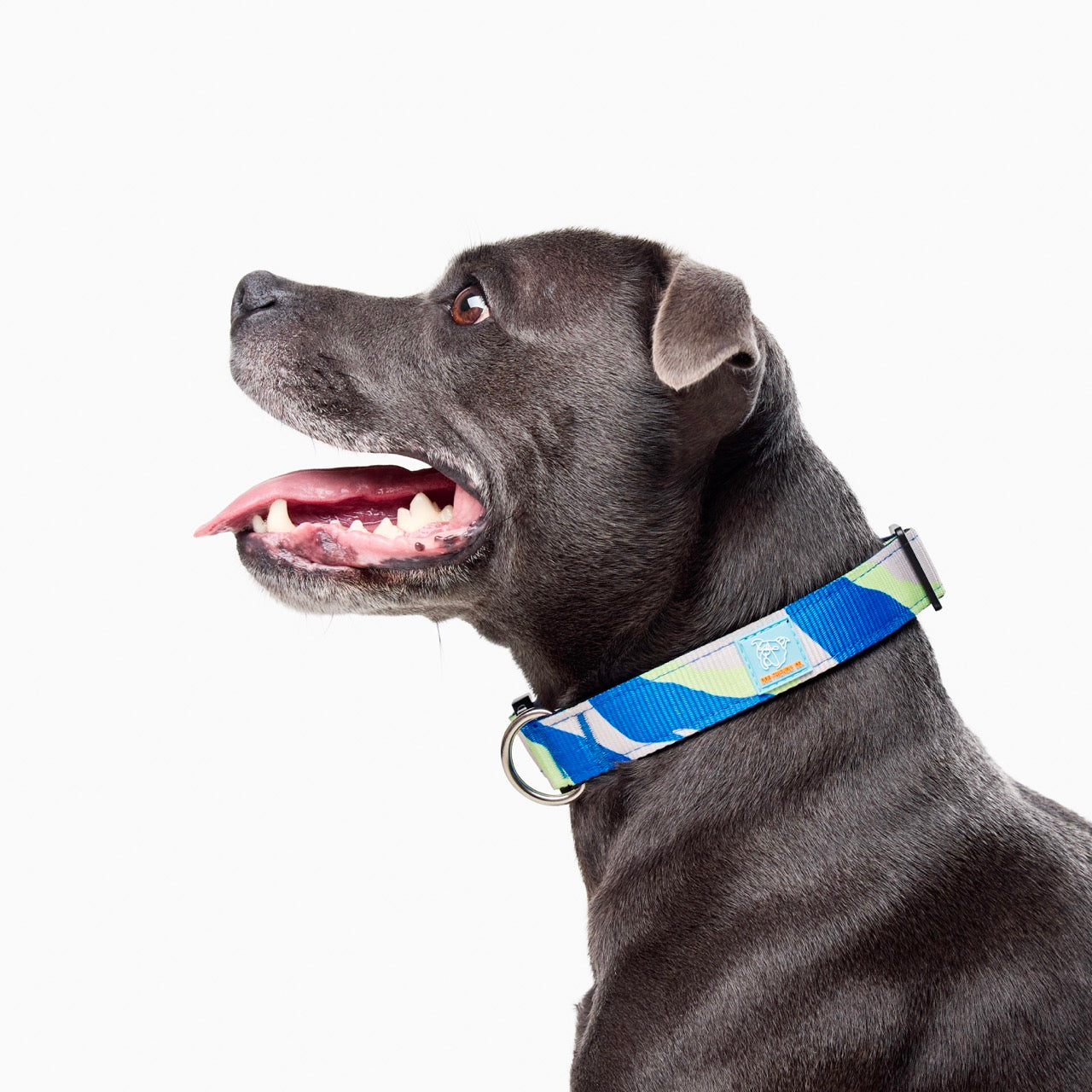 Walk #001 Tactical Dog Collar