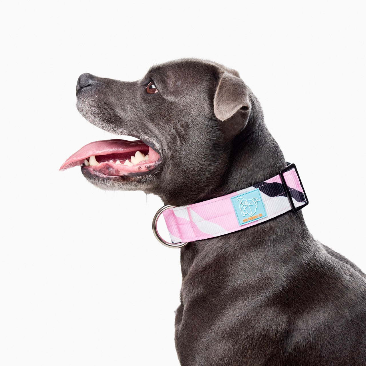 Walk #001 Tactical Dog Collar