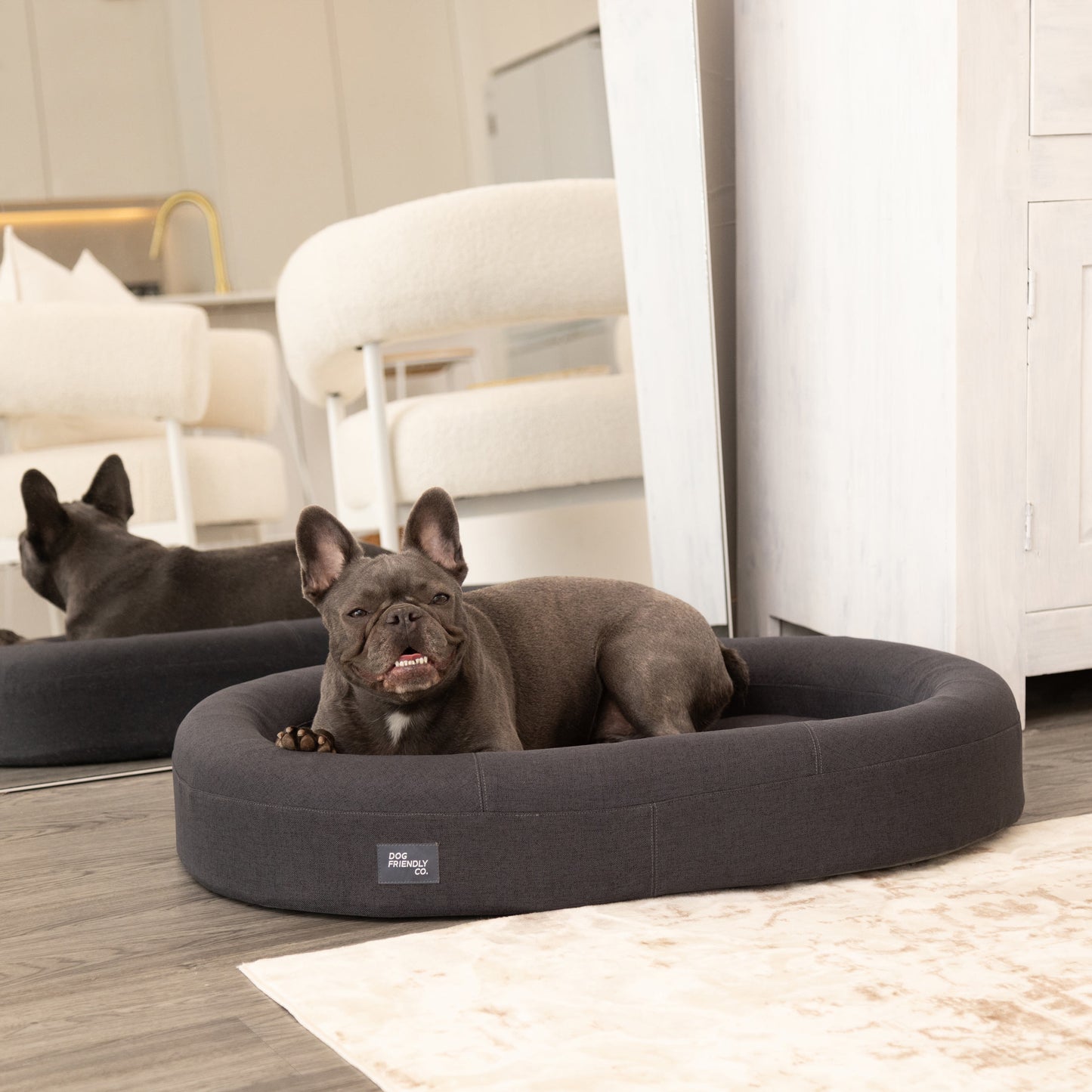 Chill Pill Memory Foam Dog Bed - Charcoal (Small)