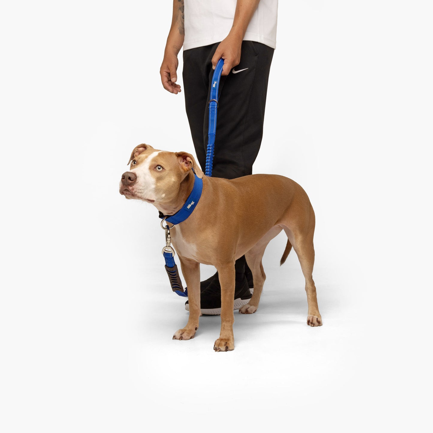 Collar Walk Set - Classic Blue