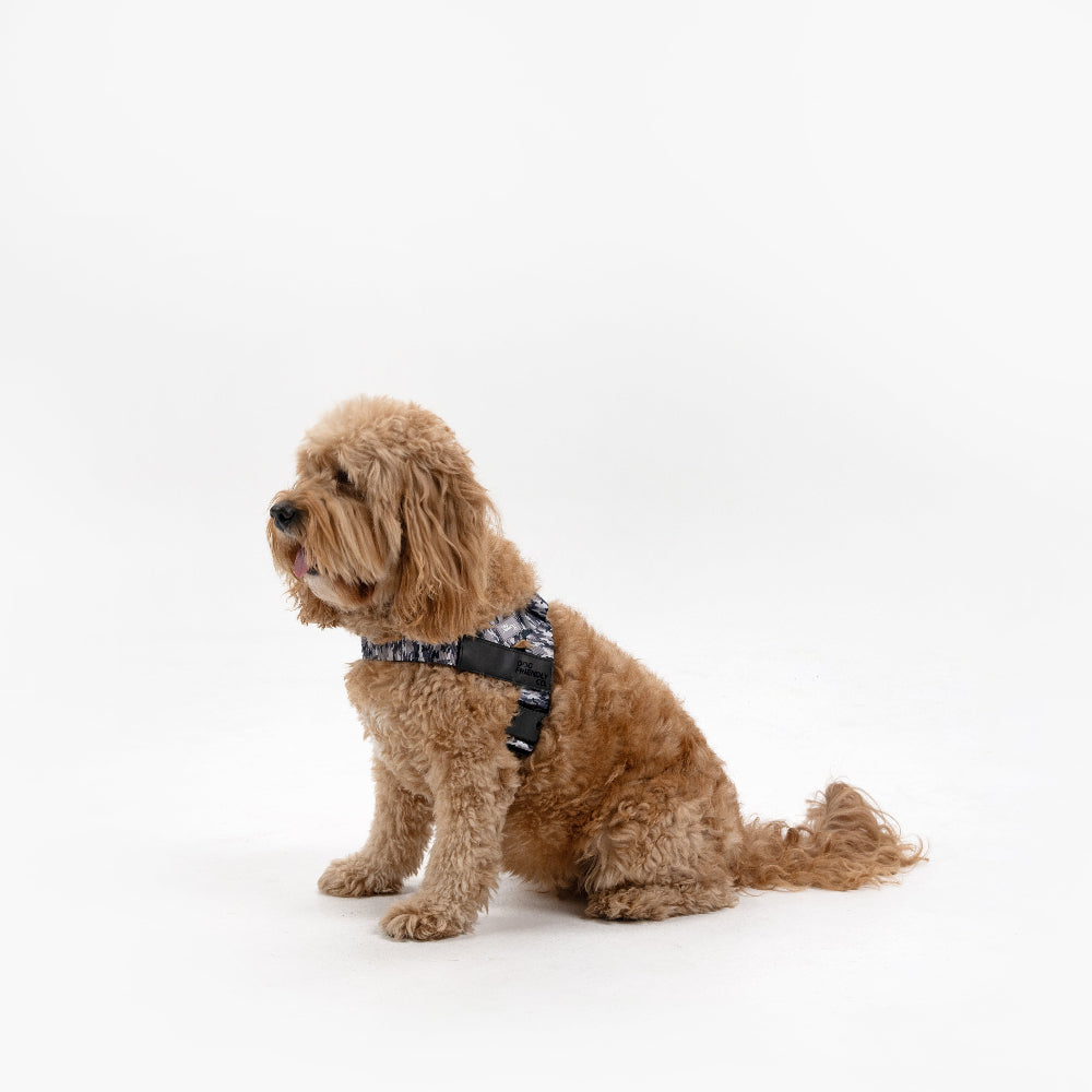 Dog Harness