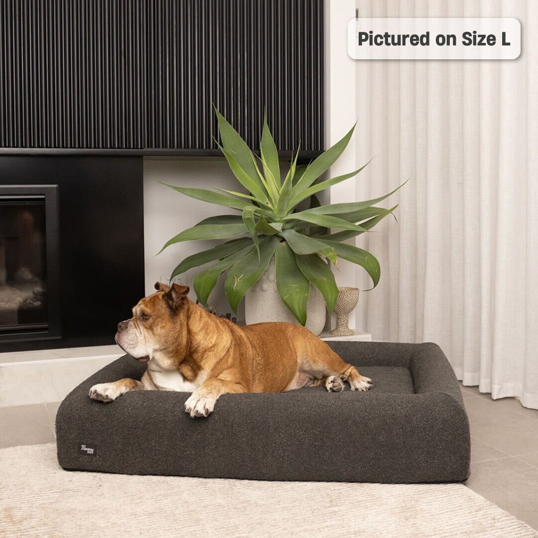 Premium Orthopedic Memory Foam Dog Bed - Brown Bouclé (Small)