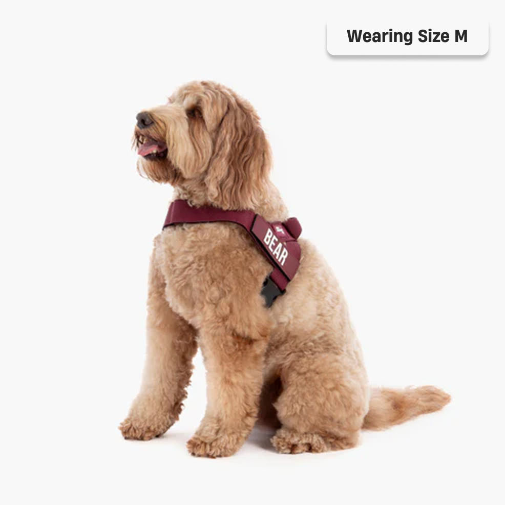 Signature Kit - Burgundy