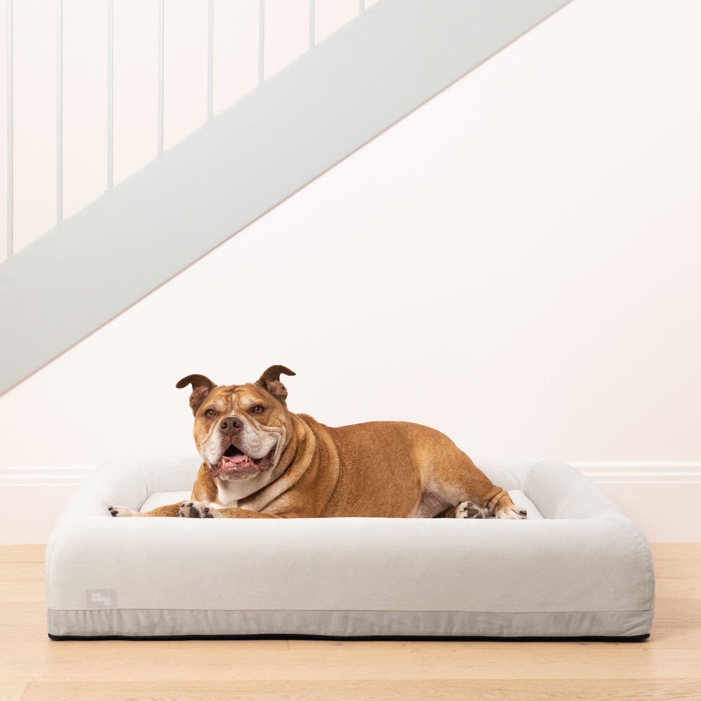 Premium Orthopedic Memory Foam Dog Bed - Grey (Large)