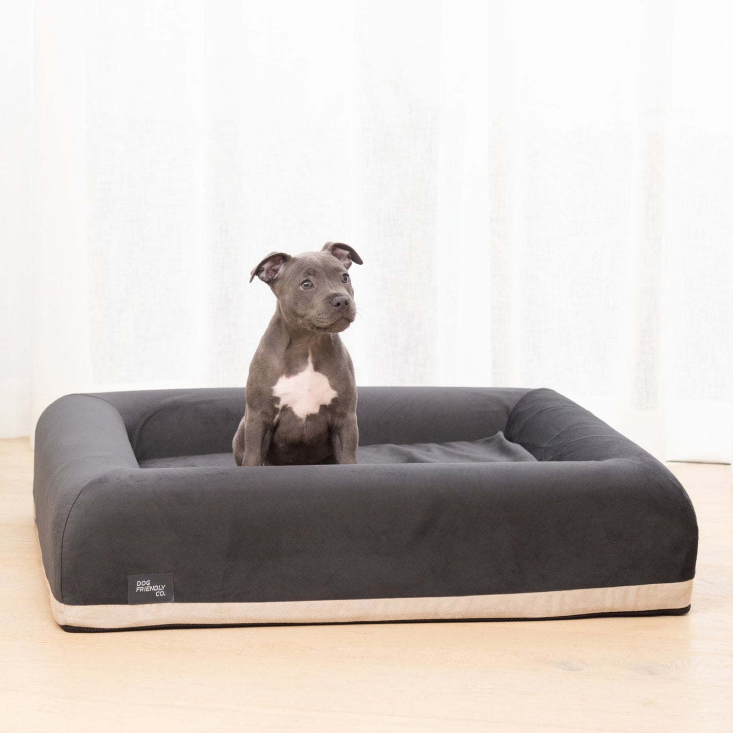 Premium Orthopedic Memory Foam Dog Bed - Charcoal (Small)