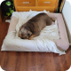 Orthopedic Memory Foam Dog Bed