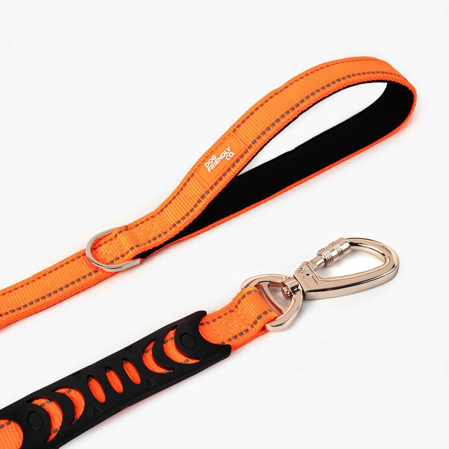 Bungee Dog Leash