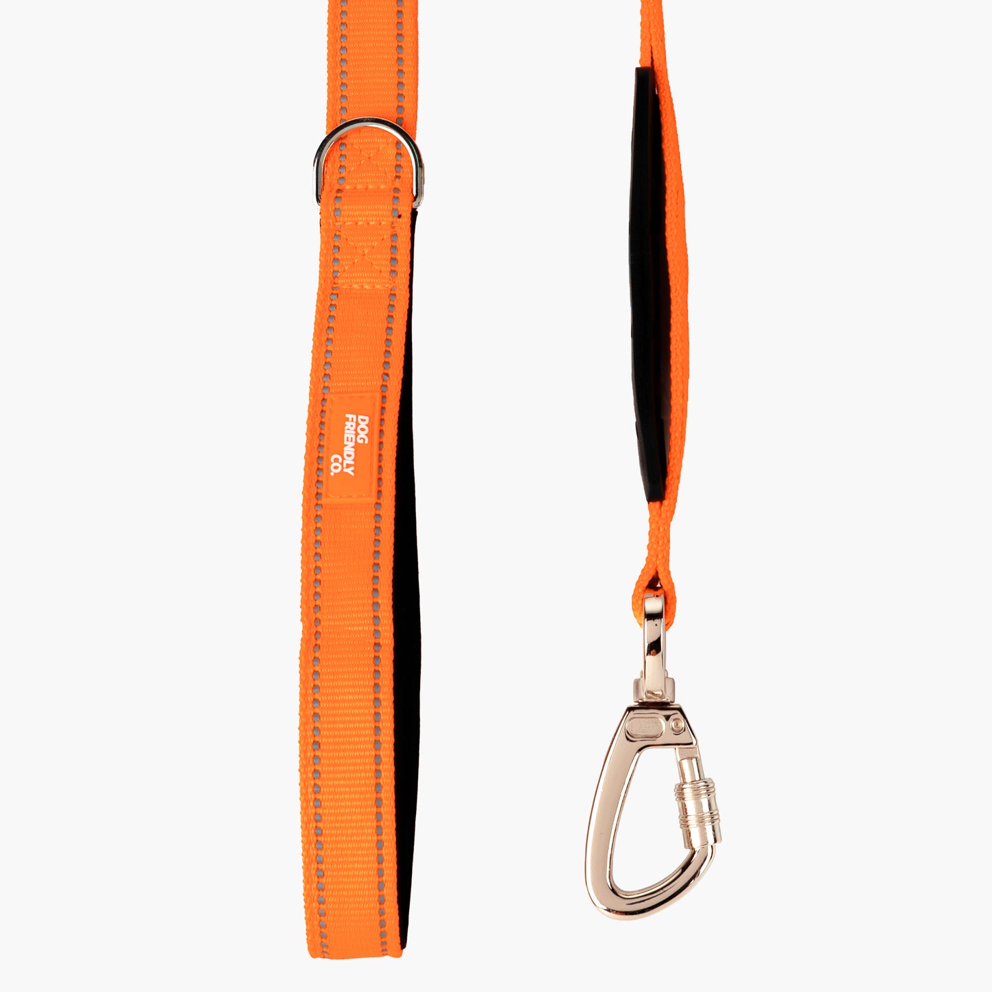 Bungee Dog Leash