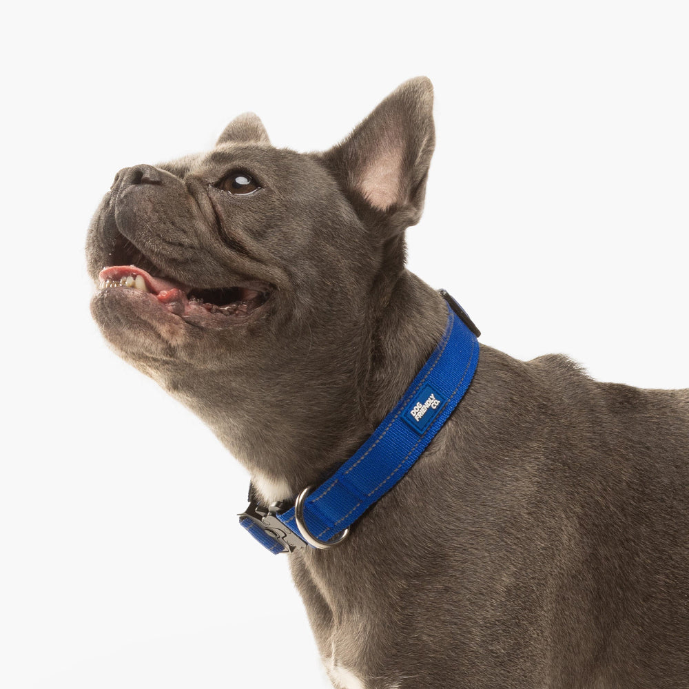 Tactical Dog Collar - Classic Blue