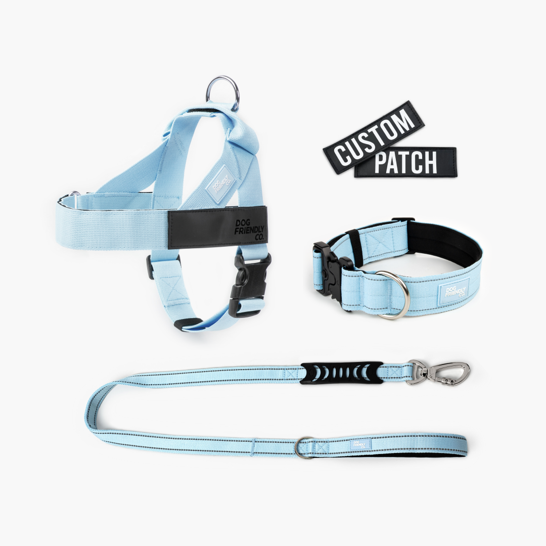 Dog Lovers Pack - Sky Blue