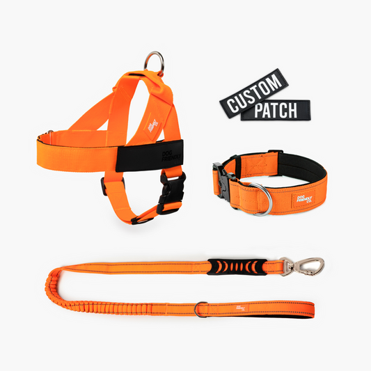 Dog Lovers Pack - Hi-Vis Orange