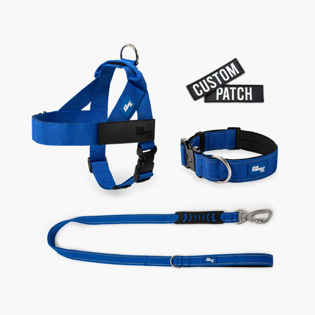 Dog Lovers Pack - Classic Blue