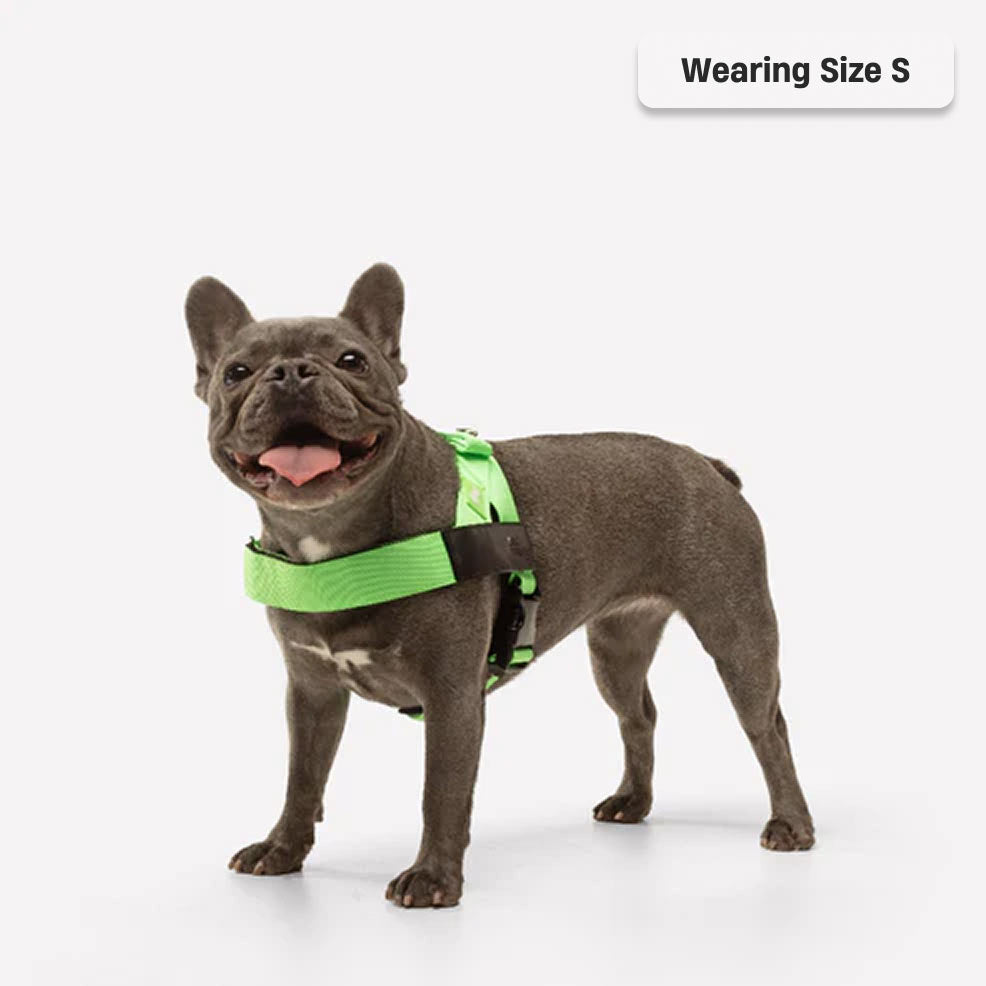 Signature Kit - Neon Green