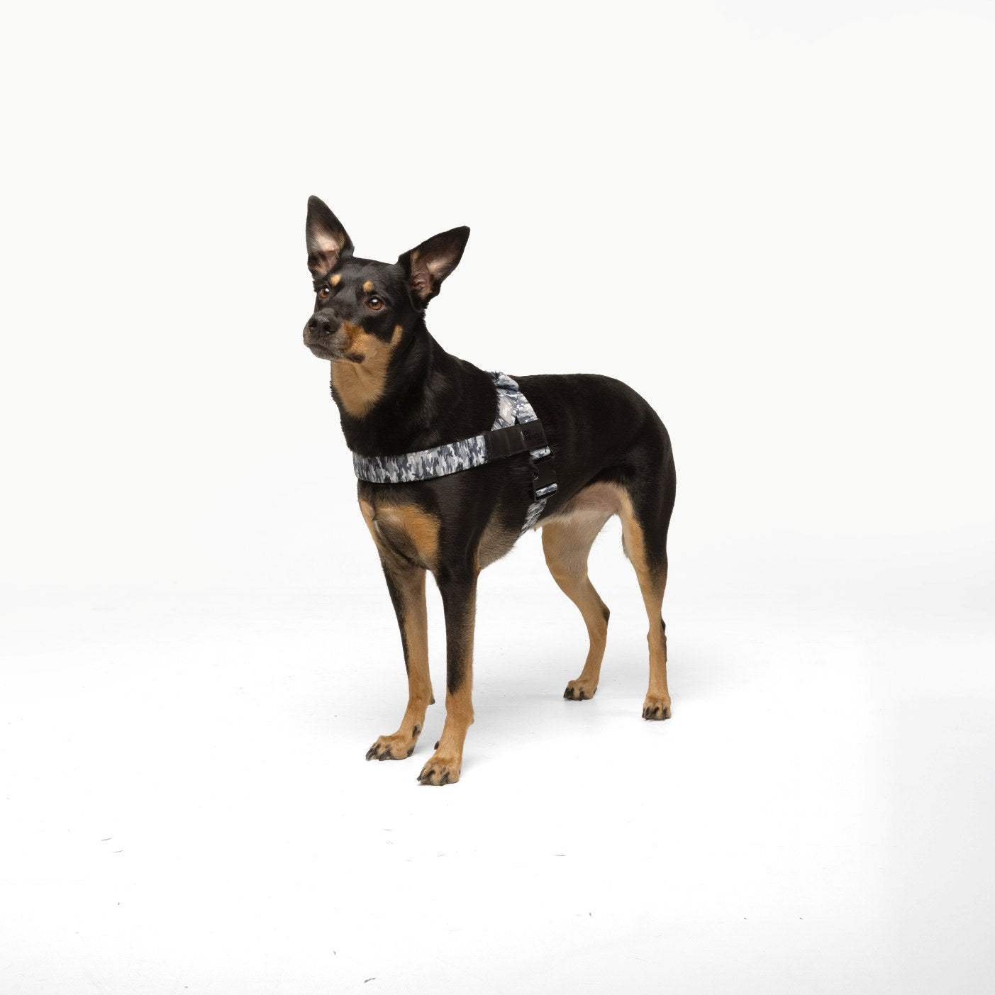 Dog Harness - Grey Camo