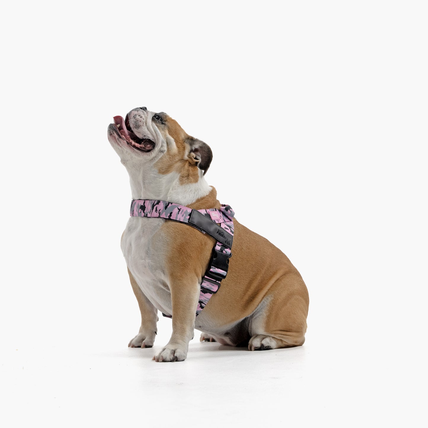 Dog Harness - Pink Camo