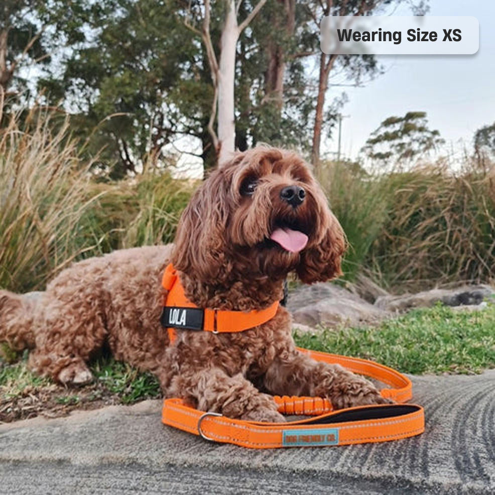 Signature Kit - Orange