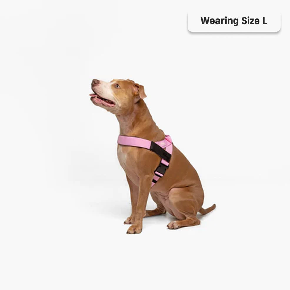 Signature Kit - Pink