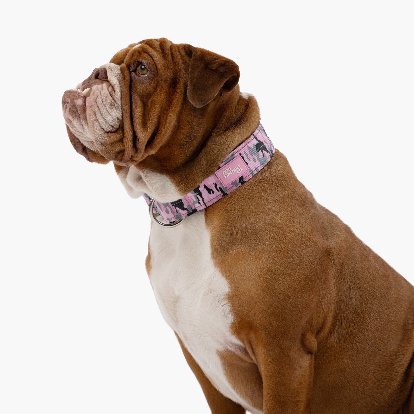 Tactical Dog Collar - Pink Camo