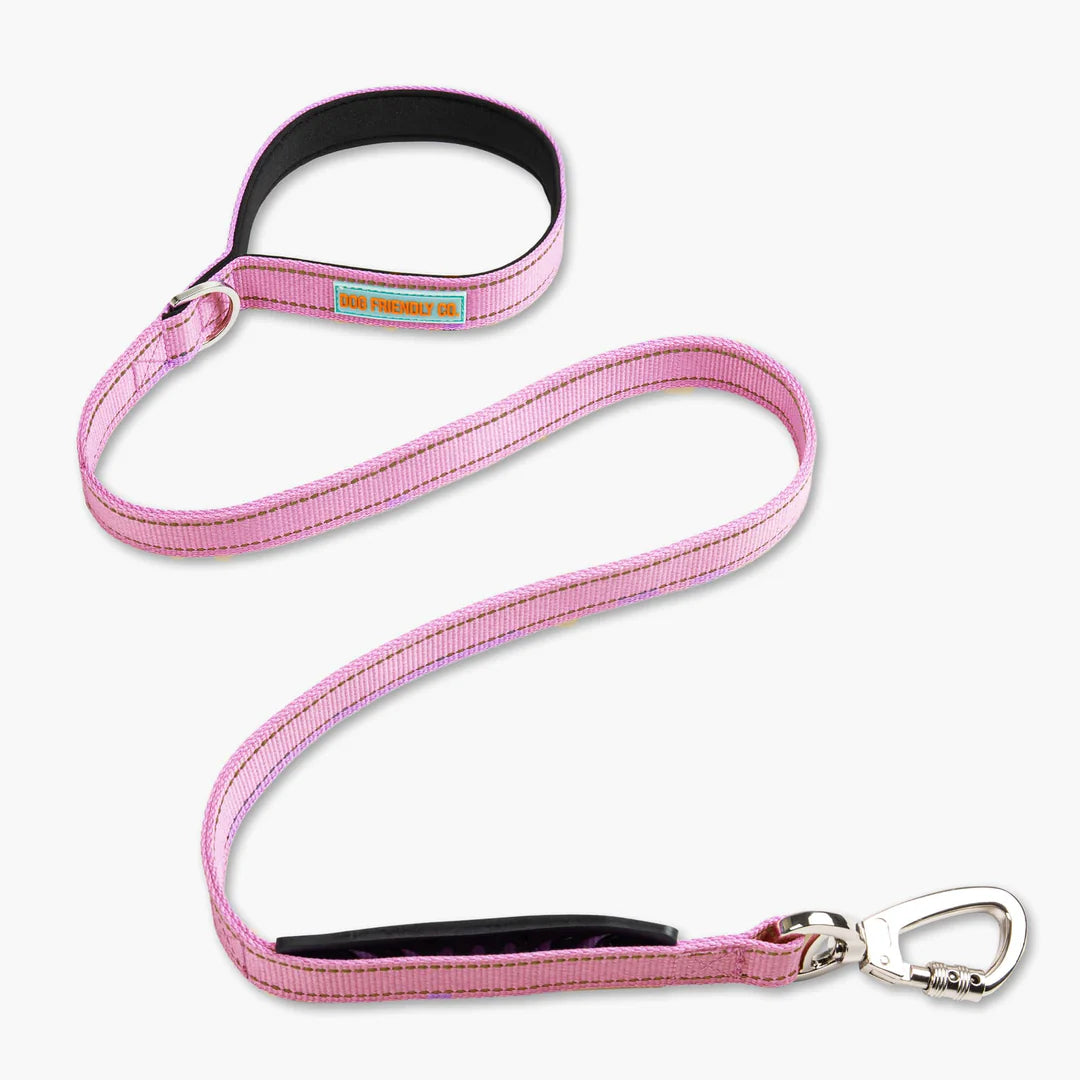 Collar Walk Set - Pink