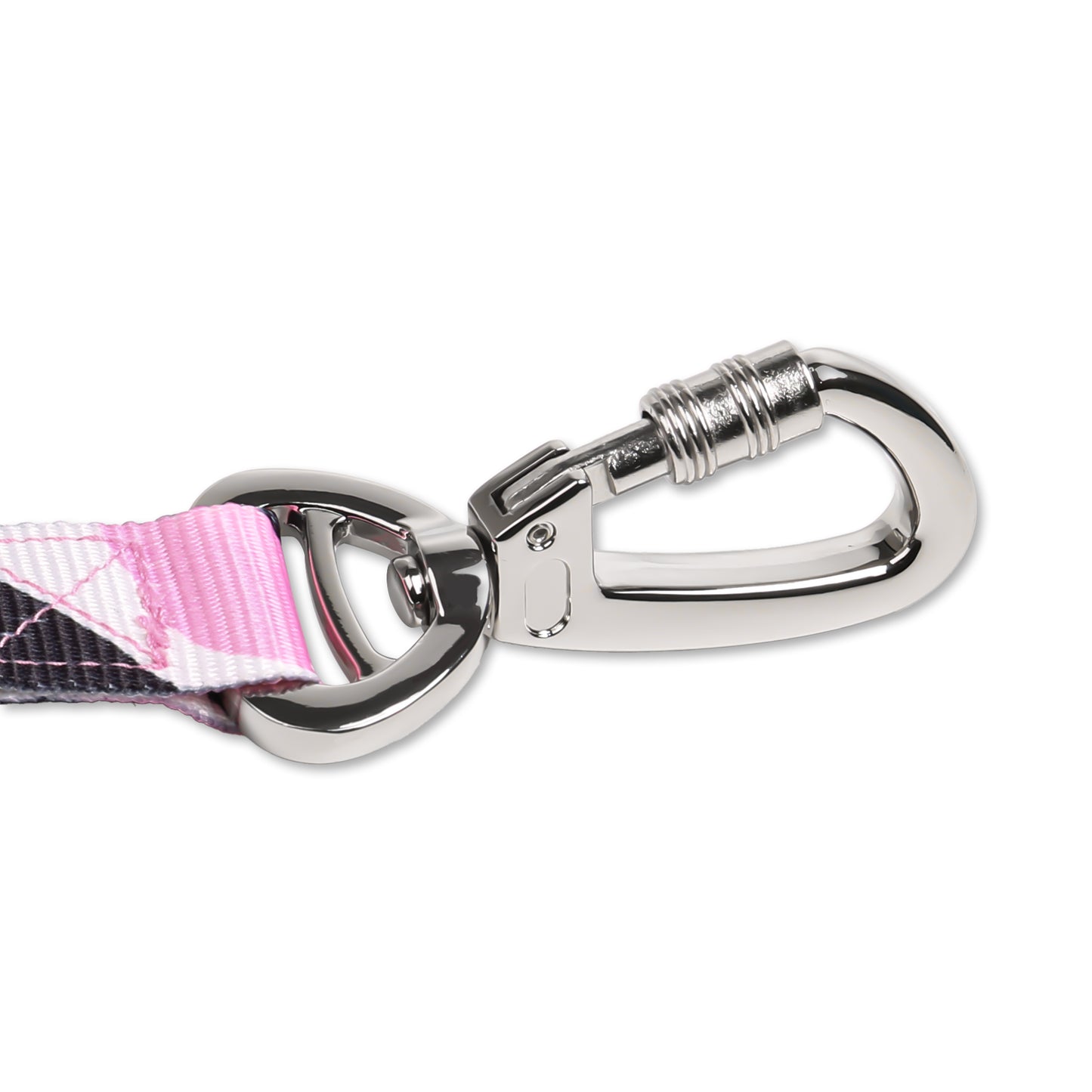 Bungee Dog Leash