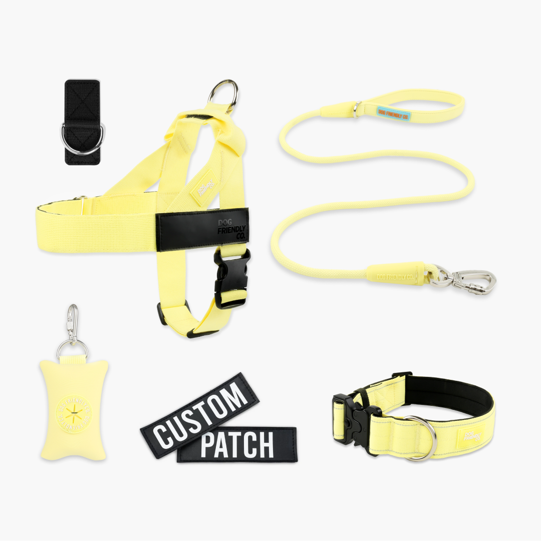 Walk Essentials - Yellow