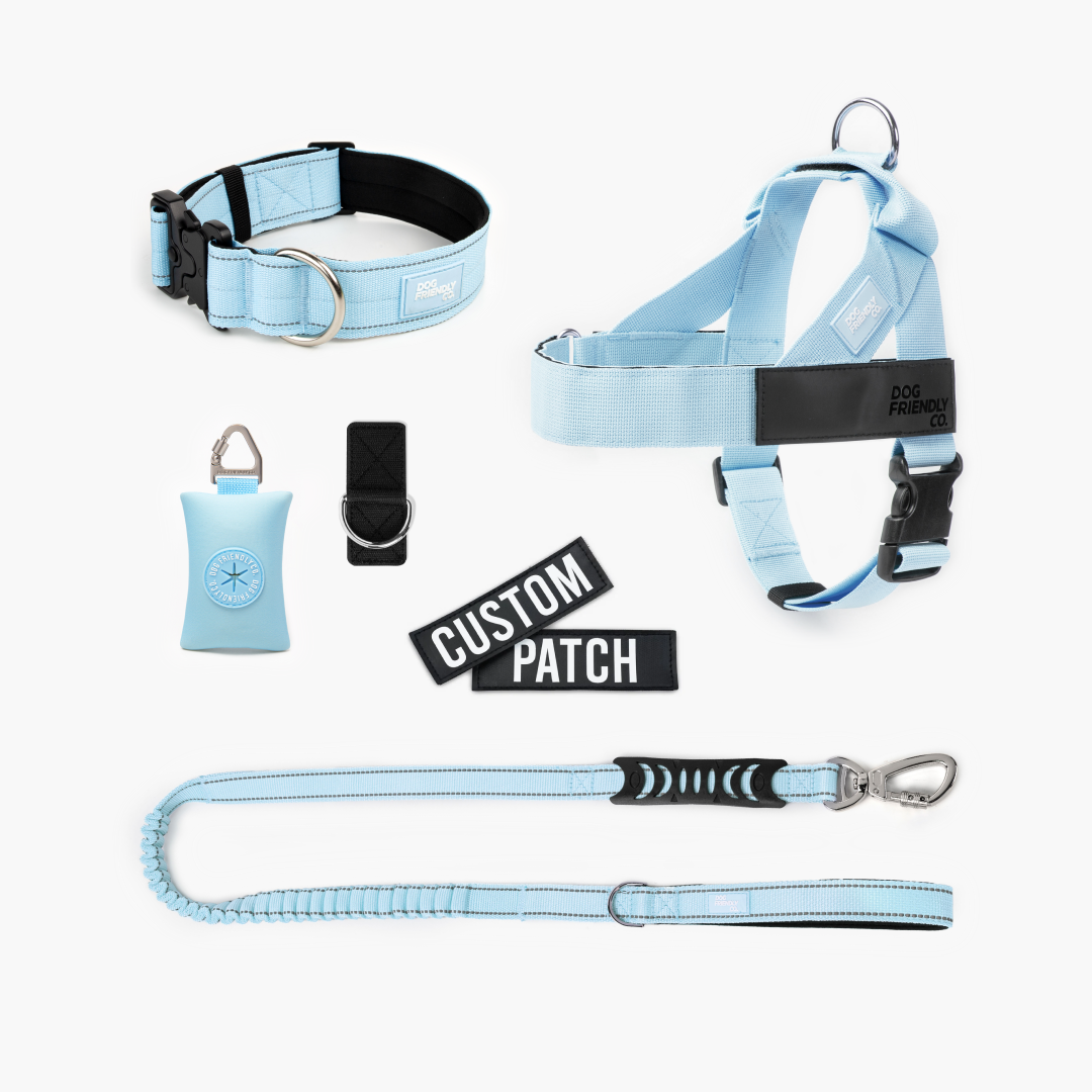 Walk Essentials - Sky Blue