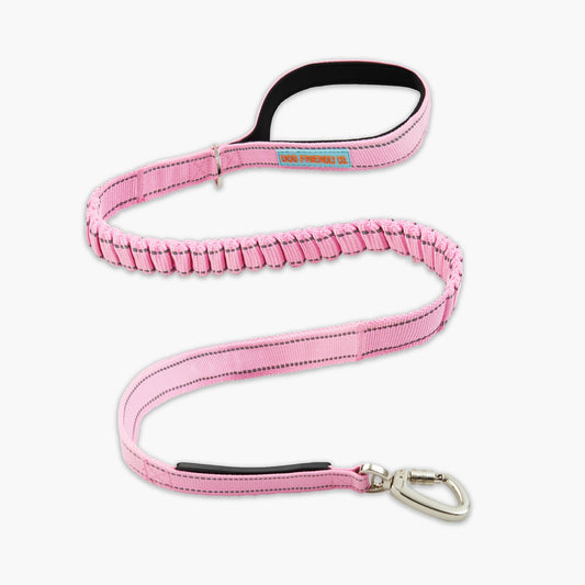 Bungee Dog Leash