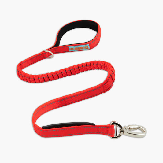 Bungee Dog Leash