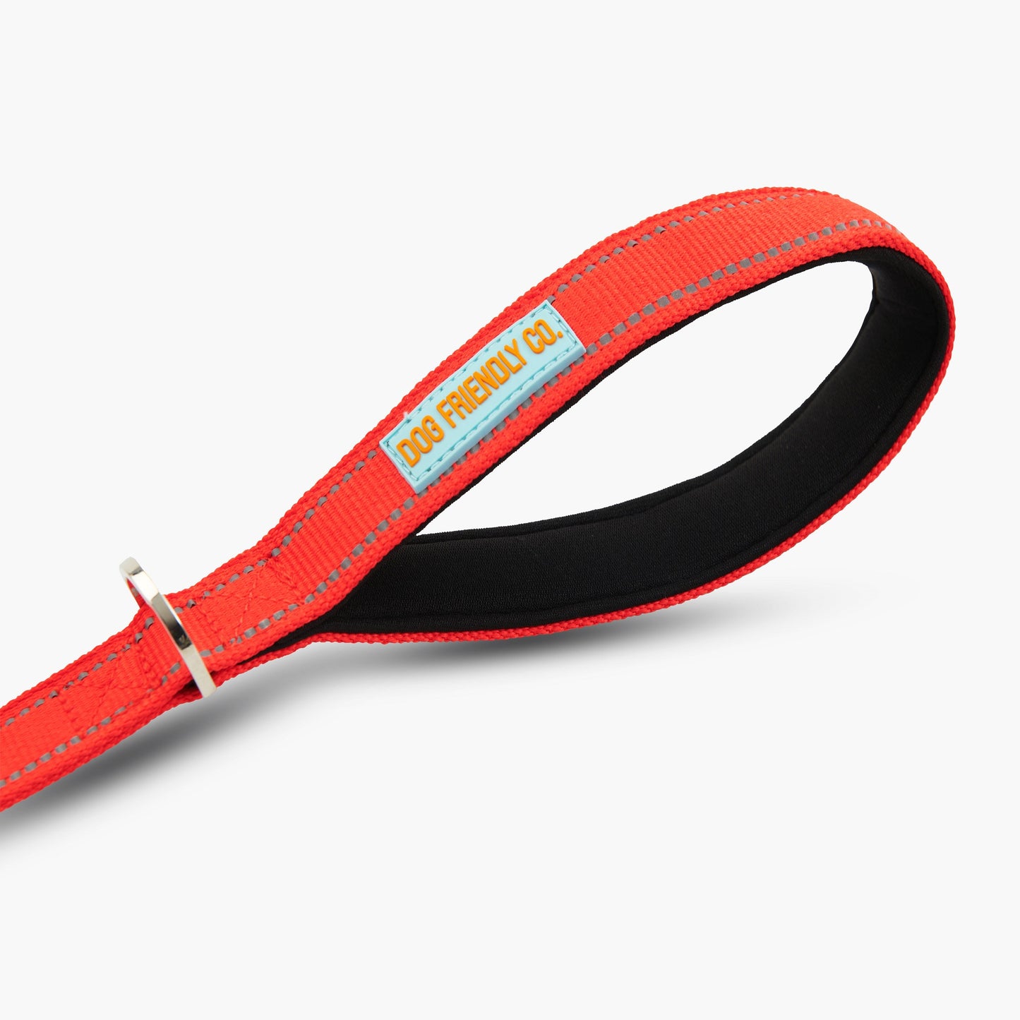 Bungee Dog Leash