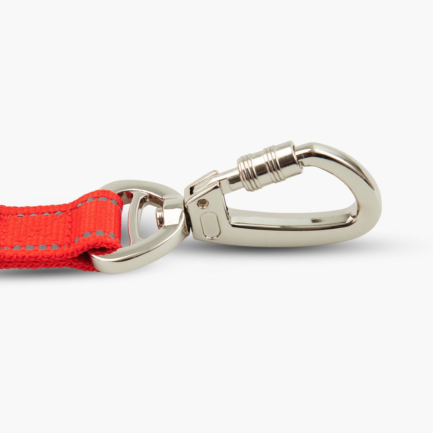 Bungee Dog Leash