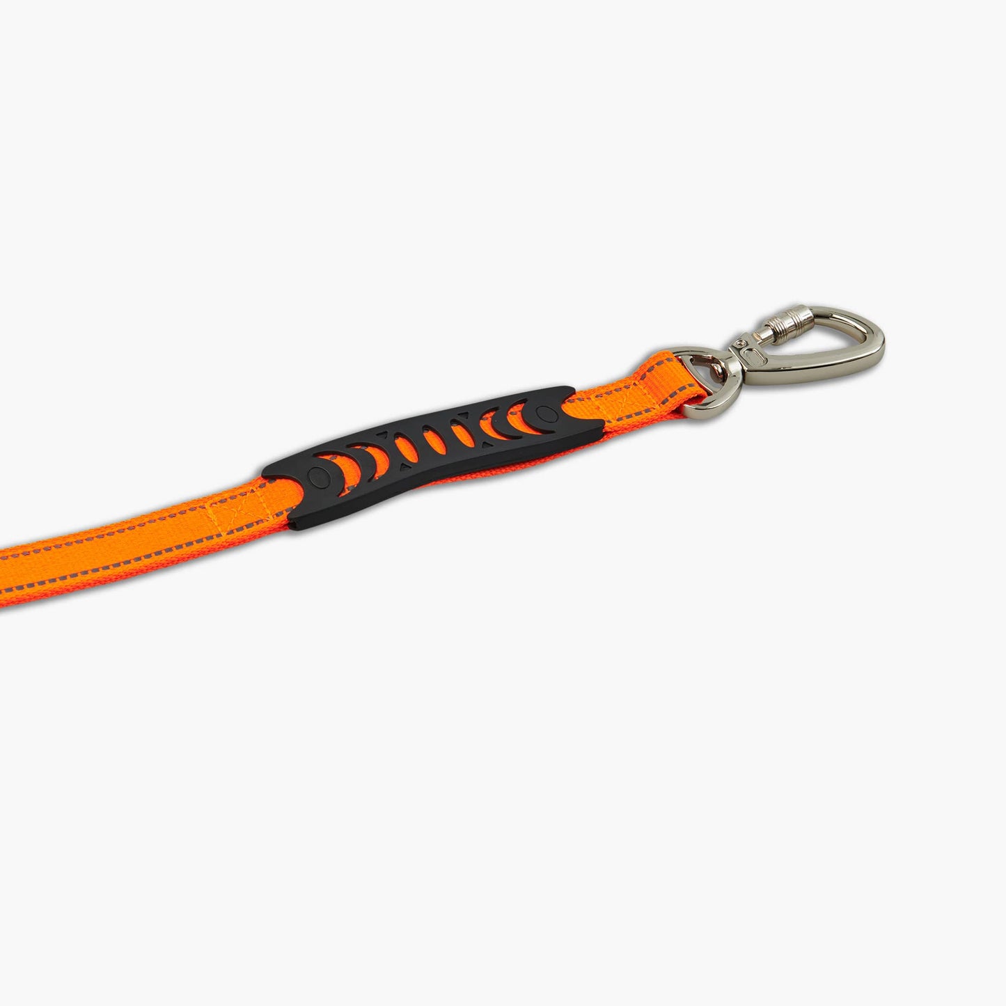 Bungee Dog Leash