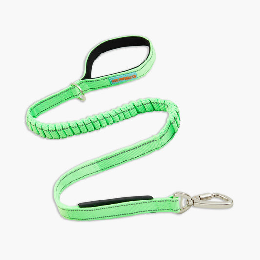 Bungee Dog Leash