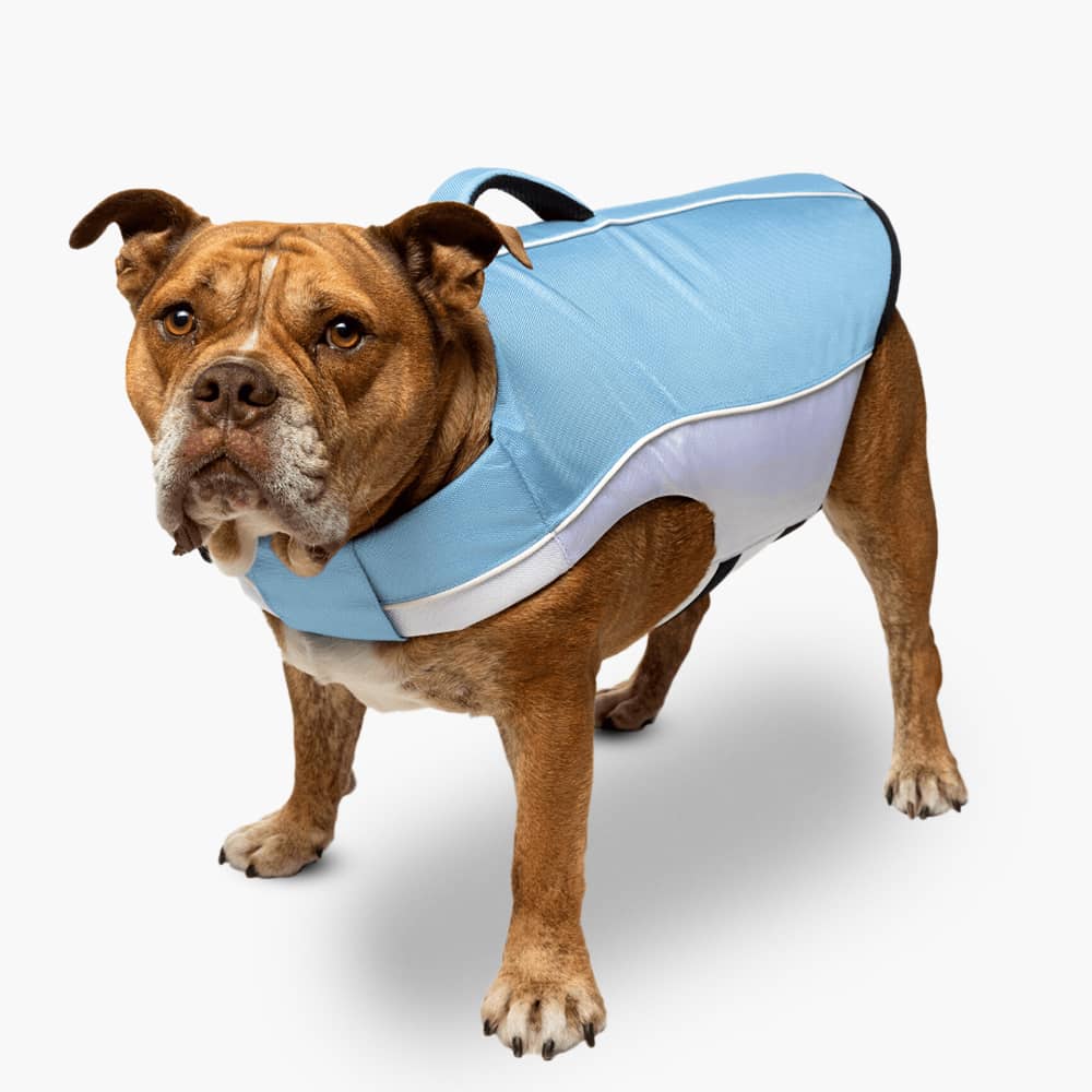 Dog Life Jacket