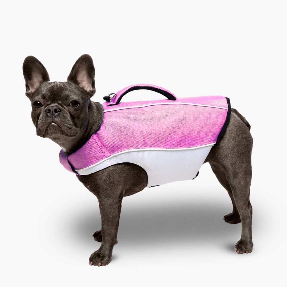 Dog Life Jacket