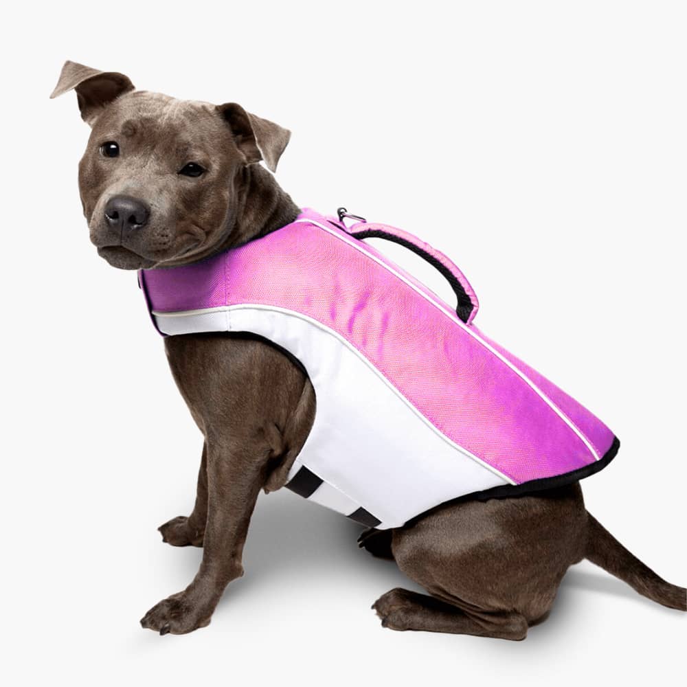 Dog Life Jacket